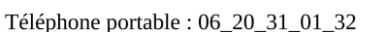 téléphone portable : 06_20_31_01_32